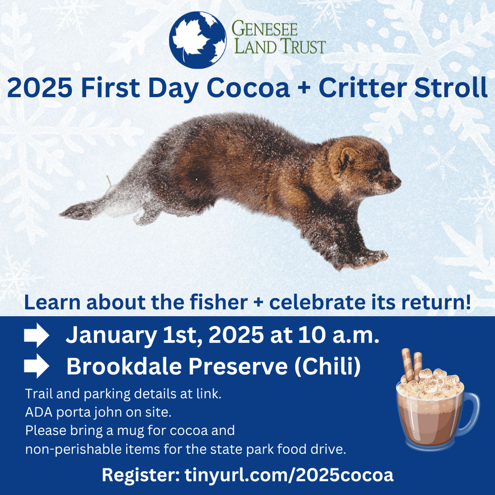 A blue flyer with a snowy background and an image of furry brown critter in the snow - a fisher. Advertising a 2025 First Day Cocoa and Critter Stroll with Genesee Land Trust