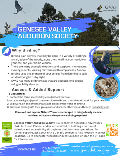 Flyer for Genesee Valley Audubon Society with 2 images of people birding. Info about their inclusive mission and accessibility for people with disabilities.