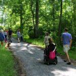 A group of over 15 people are walking and rolling along a wide sensory trail in a lush green woods at Hudson Crossing Park.