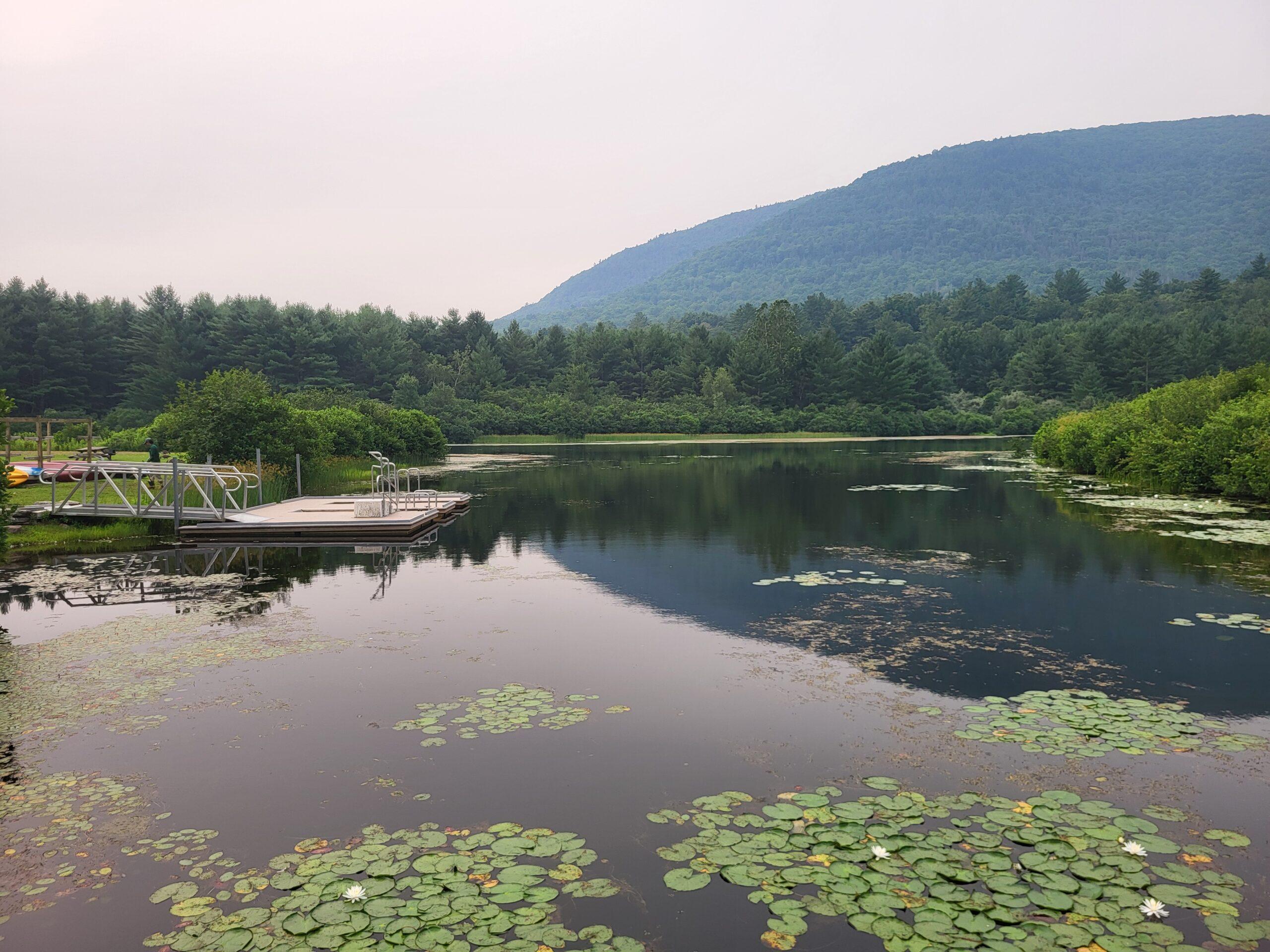 A hazy sky overlooking a small lake surrounded by green trees and a small mountain in the background; lily pads dot the water