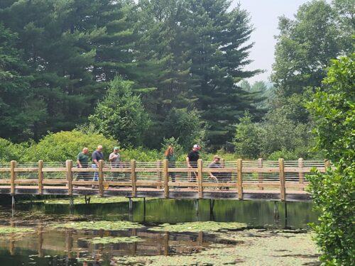 A boardwalk connecting sections of an accessible pathway, with attention on the transition points where the surfaces meet.